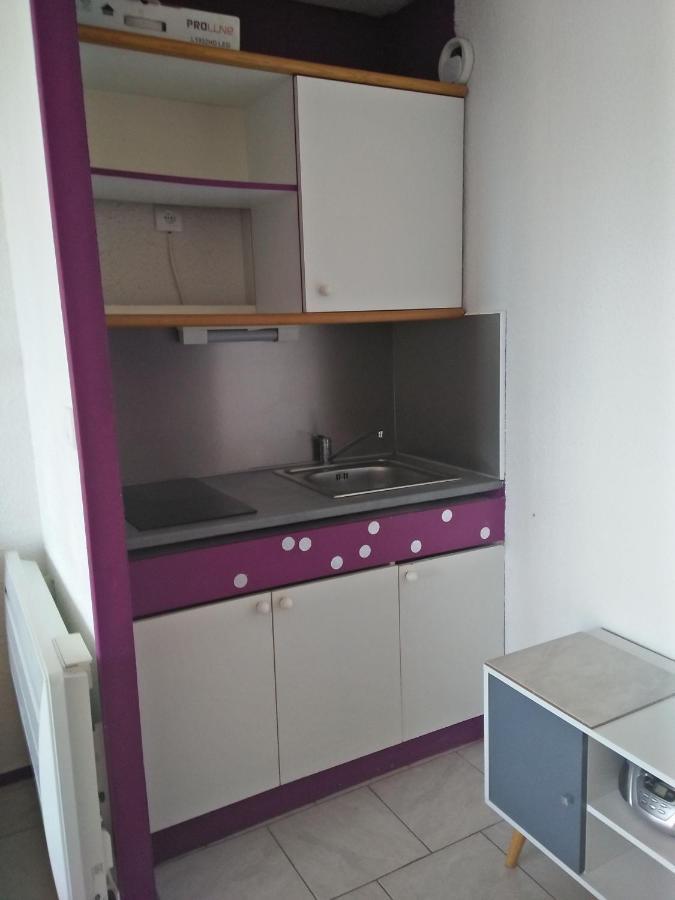 T2 30M2 Piscine Lac Mer Le Barcarès Eksteriør billede